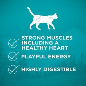 Purina ONE True Instinct Natural Real Chicken Plus Vitamins & Minerals High Protein Grain-Free Dry Cat Food, 14.4-lb bag
