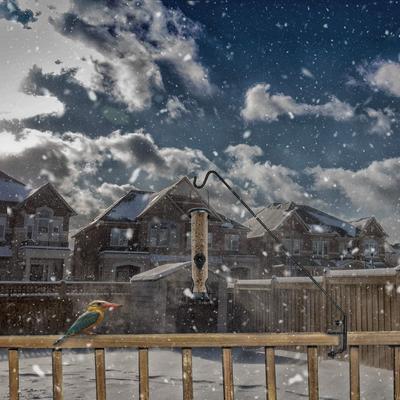 Show full view: Ashman Deck Double Forged Regular Hook, 1 count slide 5 of 5