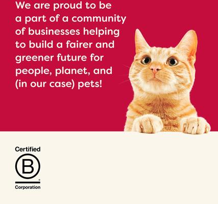 Show full view: Applaws Holiday Turkey Broth Selection Grain-Free Wet Cat Food, 2.47-oz can, case of 6 slide 8 of 10