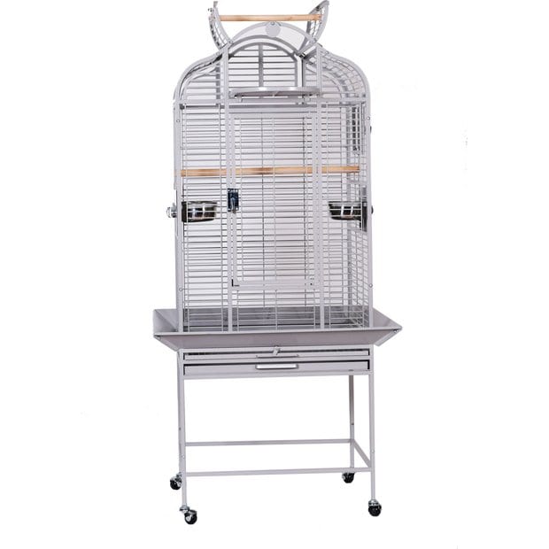View of Parrot Cages | Large Bird Cages Tailored to Parrots - Chewy