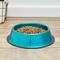 Show in main carousel: Platinum Pets Non-Skid Stainless Steel Embossed Dog & Cat Bowl, Caribbean Teal, 6.25-cup slide 5 of 8