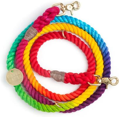 Show full view: Found My Animal Adjustable Ombre Rope Dog Leash, Rainbow, 7-ft, Small slide 2 of 11