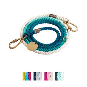 Found My Animal Adjustable Ombre Rope Dog Leash, Teal, 7-ft, Small