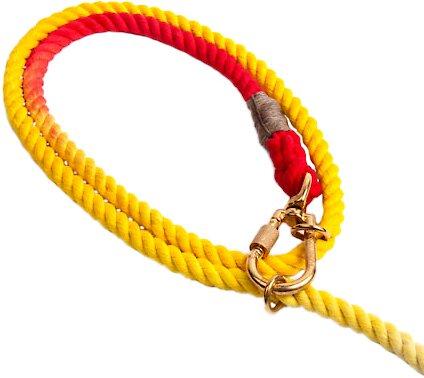 Show full view: Found My Animal Adjustable Ombre Rope Dog Leash, Rainbow, 7-ft, Medium slide 4 of 11