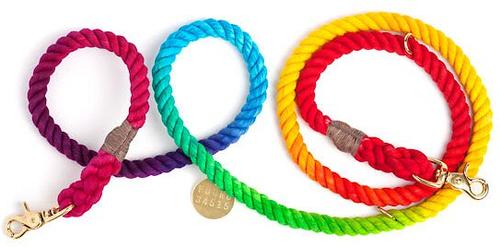 Show full view: Found My Animal Adjustable Ombre Rope Dog Leash, Rainbow, 7-ft, Medium slide 3 of 11