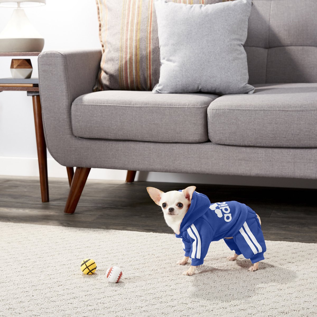 Adidog dog tracksuit sale