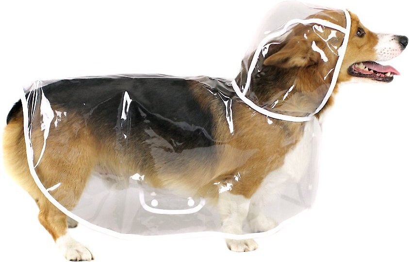 THE PAW WAG COMPANY Clear Dog Raincoat, 3XLarge