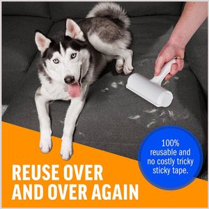 10 Best Dog Hair Removers Lint Rollers 2024 According to Reviews Chewy