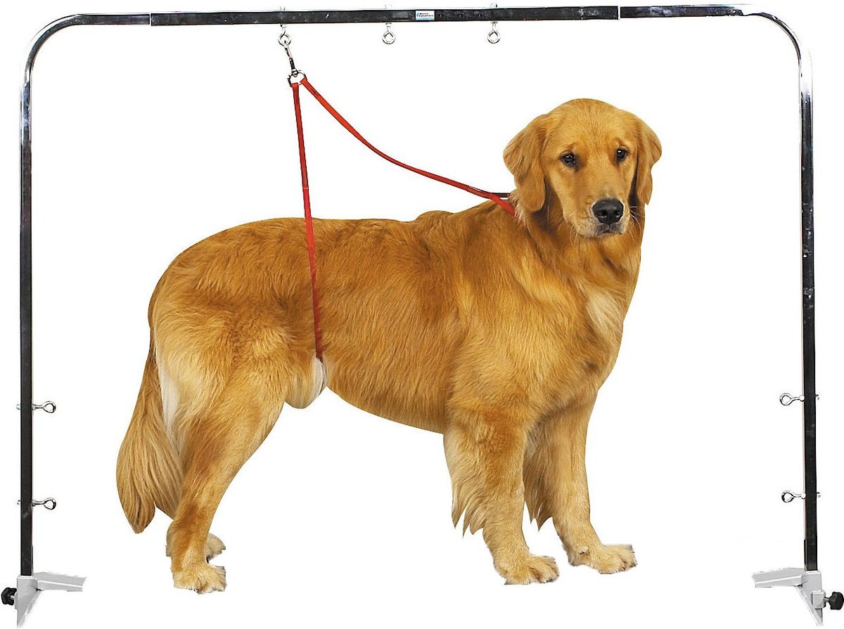 Dog best sale bathing equipment