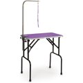 Master Equipment Dog Grooming Table with Arm, Purple, 30-inch