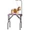 Show in main carousel: Master Equipment Dog Grooming Table with Arm, Purple, 30-inch slide 2 of 3