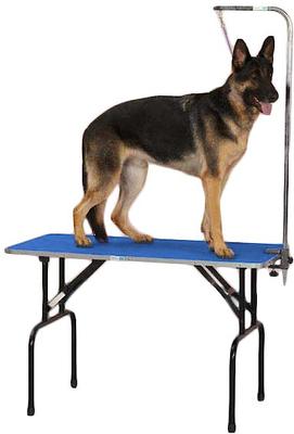 Show full view: Master Equipment Dog Grooming Table with Arm, Blue, 36-inch slide 3 of 4