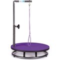 Master Equipment Small Dog & Cat Grooming Table, Purple