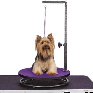 The 8 Best Dog Grooming Tables and Accessories of 2024