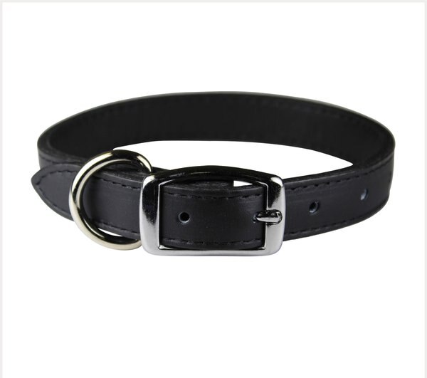 OmniPet Signature Leather Dog Collar, Black, 16-in slide 1 of 4