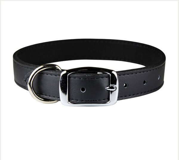 OmniPet Signature Leather Dog Collar, Black, 24-in slide 1 of 4