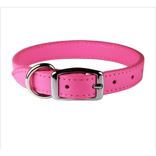 OMNIPET Paisley Leather Dog Collar, Pink, 20-in - Chewy.com