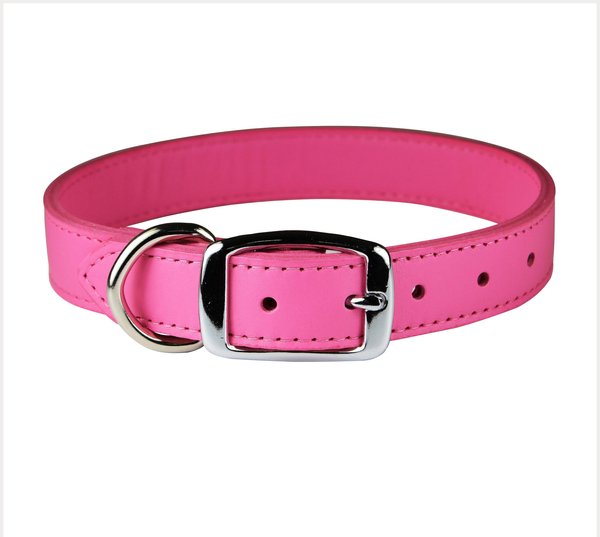 OmniPet Signature Leather Dog Collar, Pink, 22-in slide 1 of 6