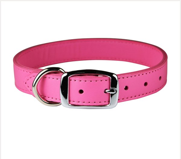 OMNIPET Signature Leather Dog Collar, Pink, 24-in - Chewy.com