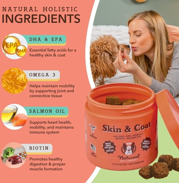 NATURAL DOG COMPANY Skin & Coat Salmon Flavored Soft Chew Supplement