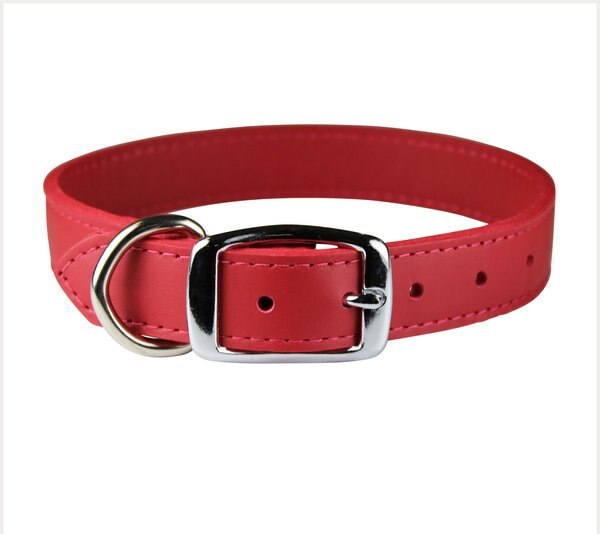 OmniPet Signature Leather Dog Collar, Red, 22-in slide 1 of 4