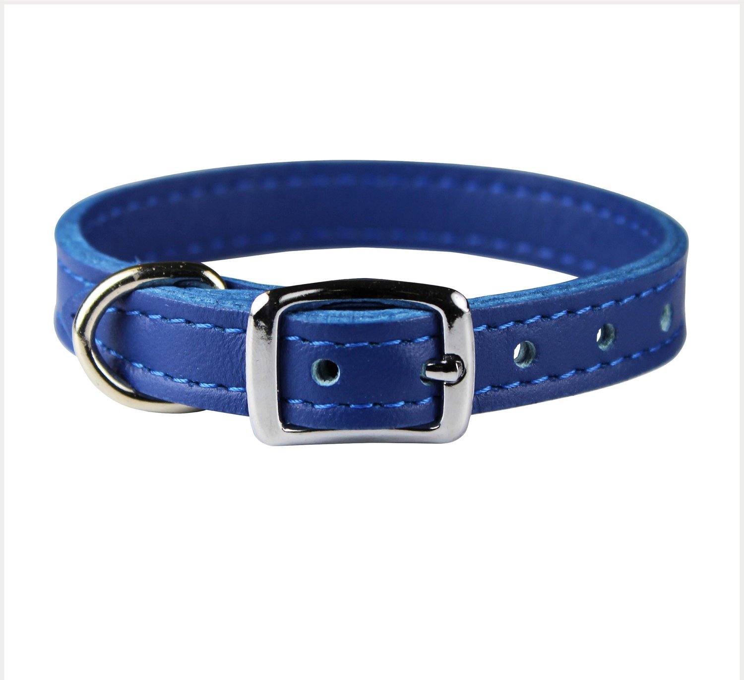 OMNIPET Signature Leather Dog Collar, Blue, 12-in - Chewy.com