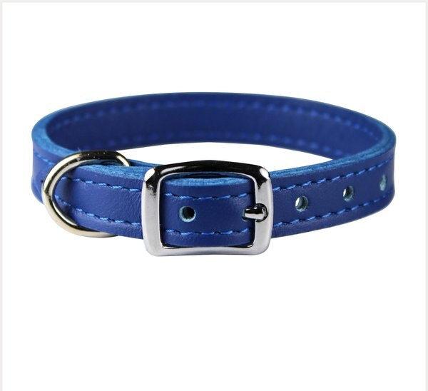 OmniPet Signature Leather Dog Collar, Blue, 12-in slide 1 of 4