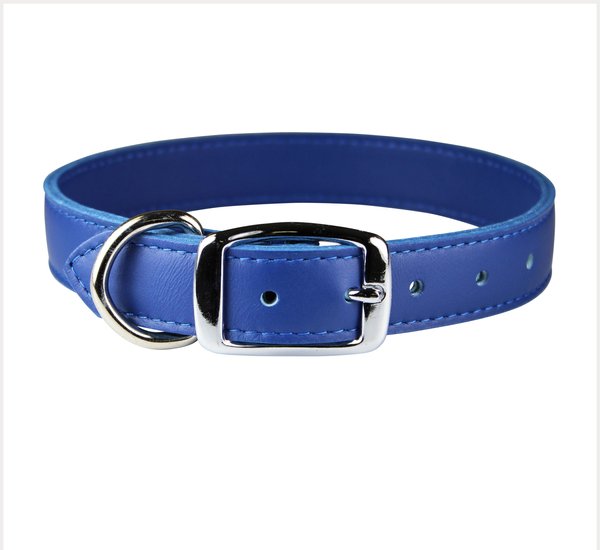 OMNIPET Signature Leather Dog Collar, Blue, 22-in - Chewy.com