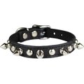 OmniPet Signature Leather Studs & Spikes Dog Collar, Black, 12-in