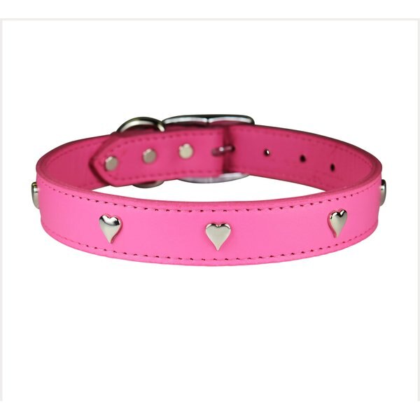 OmniPet Signature Leather Heart Dog Collar