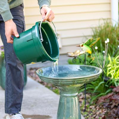 Show full view: Sunnydaze Decor Avignon Ceramic Bird Bath with Glazed Finish, Green Mist, 18.75-in slide 5 of 7