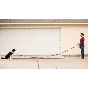 10 Best Dog Leashes for Sport Training 2024 According to Reviews Chewy