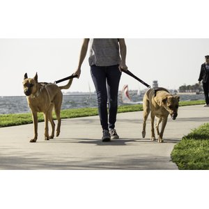 Leashboss Padded Handle Short Dog Leash, 1-ft