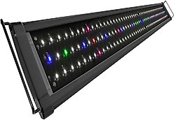 Koval LED Aquarium Light, 45 - 50 in, 156 LED