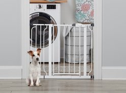 Regalo Pet Products Easy Step Walk-Through Dog Gate, 30-in