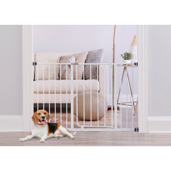 CARLSON PET PRODUCTS Extra Wide Walk-Thru Dog Gate with Pet Door ...