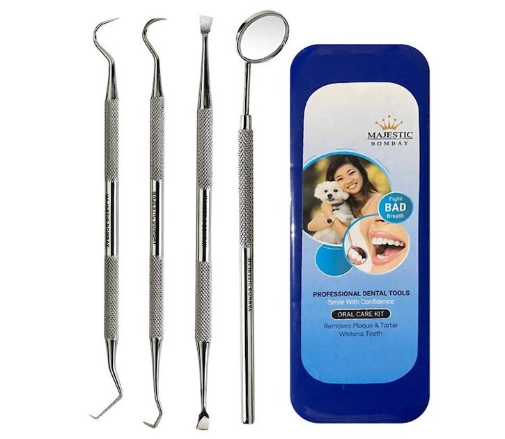 By Majestic Bombay Pet Teeth Cleaning Tools 6.5 Inch double header Tarter & Plaque remover tool for cats and dogs Stainless Steel That Will Not Rust 
