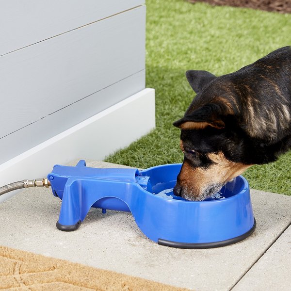 THE EASY CLEAN WATER BOWL Dog Cat Livestock Auto Fill Water Bowl with Hose 32 oz 10 ft Hose Chewy