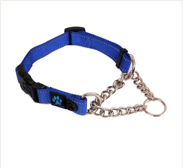 Max & Neo Dog Gear Nylon Reflective Martingale Dog Collar with Chain, Blue, Small: 12 to 14.5-in neck, 1-in wide slide 1 of 6