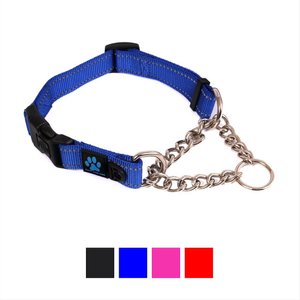 Max & Neo Dog Gear Nylon Reflective Martingale Dog Collar with Chain, Blue, Medium: 14 to 17-in neck, 1-in wide