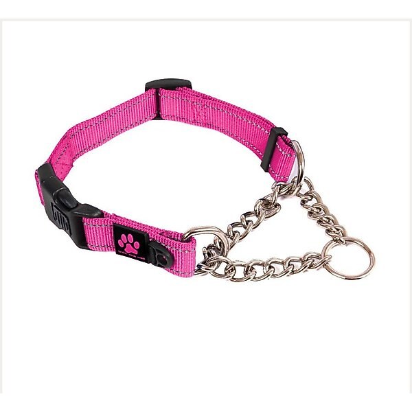 10 Best Martingale Dog Collars 2025 According to Reviews Chewy