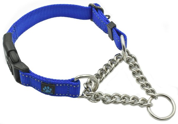 Max & Neo Dog Gear Nylon Reflective Martingale Dog Collar with Chain, Blue, Medium/Large: 16 to 19-in neck, 1-in wide slide 1 of 6