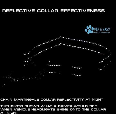 Show full view: Max and Neo Dog Gear Nylon Reflective Martingale Dog Collar with Chain, Blue, Medium/Large: 16 to 19-in neck, 1-in wide slide 4 of 7