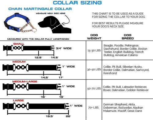 Show full view: Max and Neo Dog Gear Nylon Reflective Martingale Dog Collar with Chain, Blue, Medium/Large: 16 to 19-in neck, 1-in wide slide 5 of 7