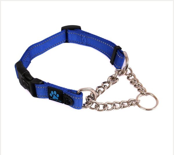 Max & Neo Dog Gear Nylon Reflective Martingale Dog Collar with Chain, Blue, Large: 19 to 24.5-in neck, 1-in wide slide 1 of 6