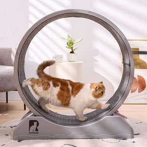 RYPETMIA Carpeted Running Wheel Cat Treadmill Large 31.5 in Gray Chewy