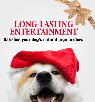 Show full view: Good 'n' Fun Triple Flavor Kabob Canes with Real Chicken Holiday Adult Hard Chew Dog Treats, 3.35-oz bag, 5 count slide 8 of 11