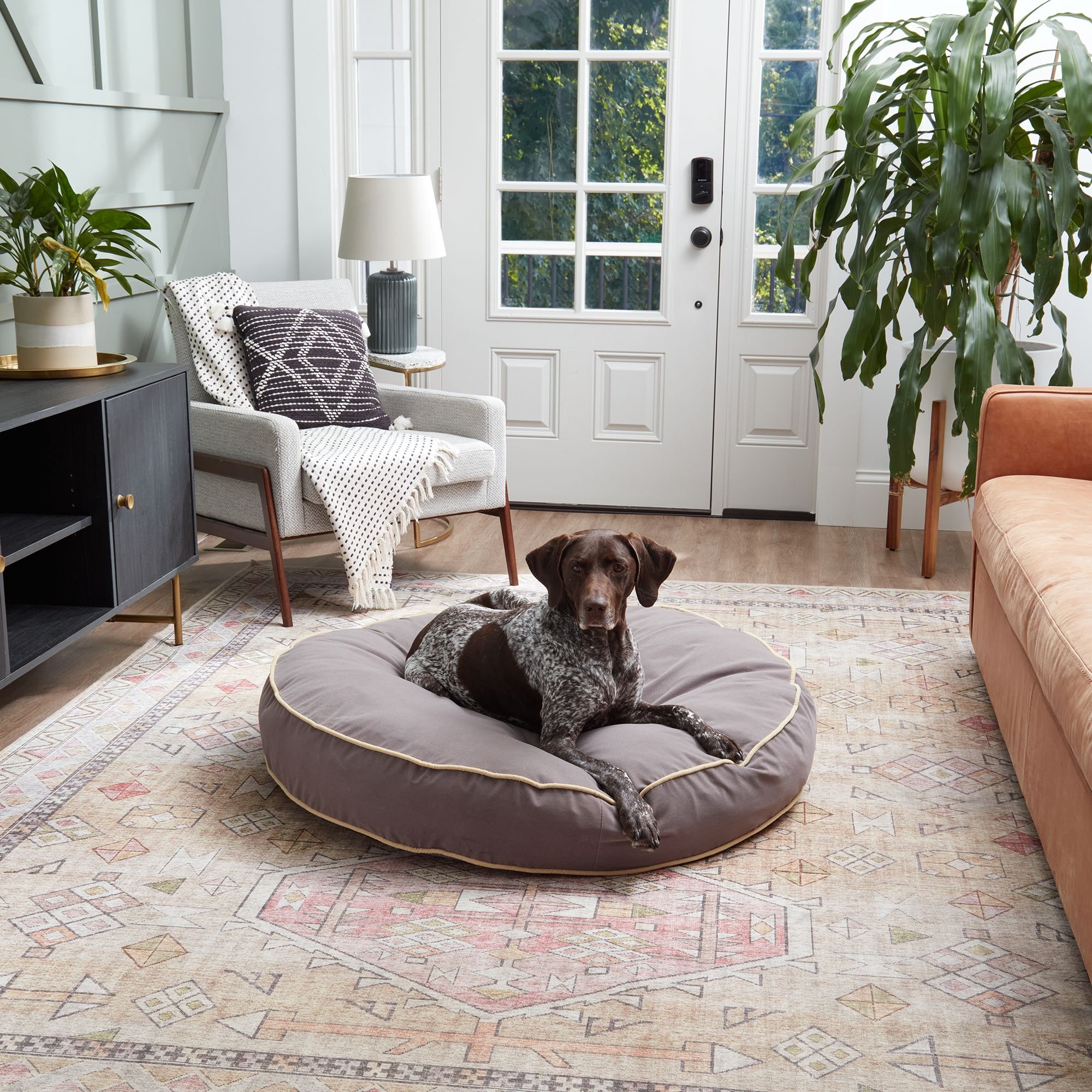 HAPPY HOUNDS Scooter Round Pillow Dog & Cat Bed with Removable Cover