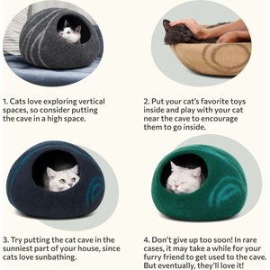 10 Best Covered Cat Beds 2025: According to Reviews | Chewy