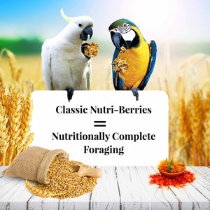 Lafeber Classic Nutri-Berries Macaw & Cockatoo Food, 3.5-lb tub